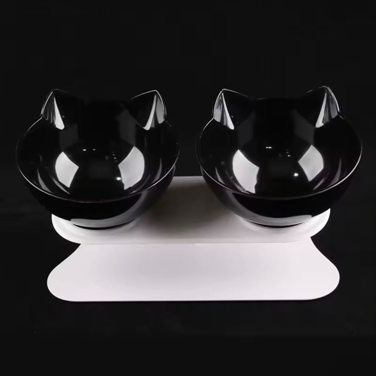 Gamelle Double pour Chat – Incliné 15° avec Support Séparable