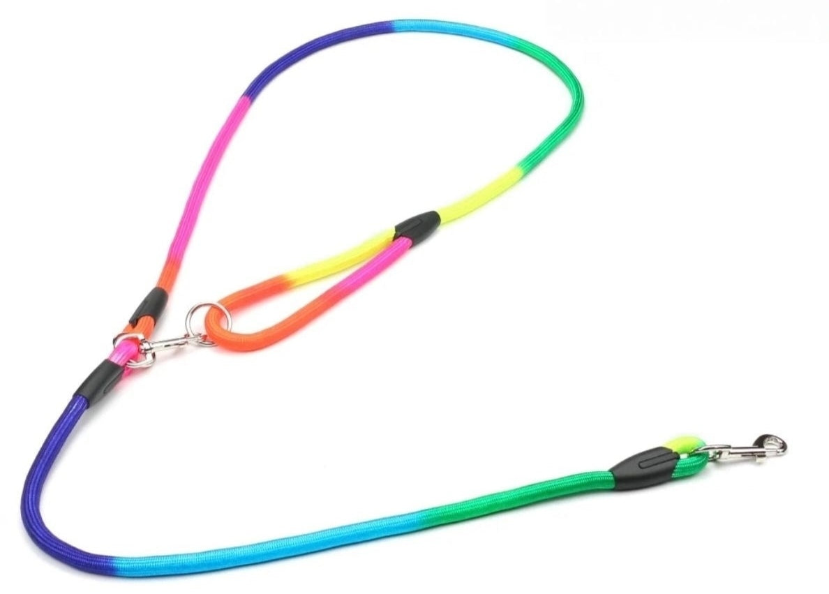 Laisse pour Chien en Nylon – Hands-Free 250 cm pour Petit et Grand Chien