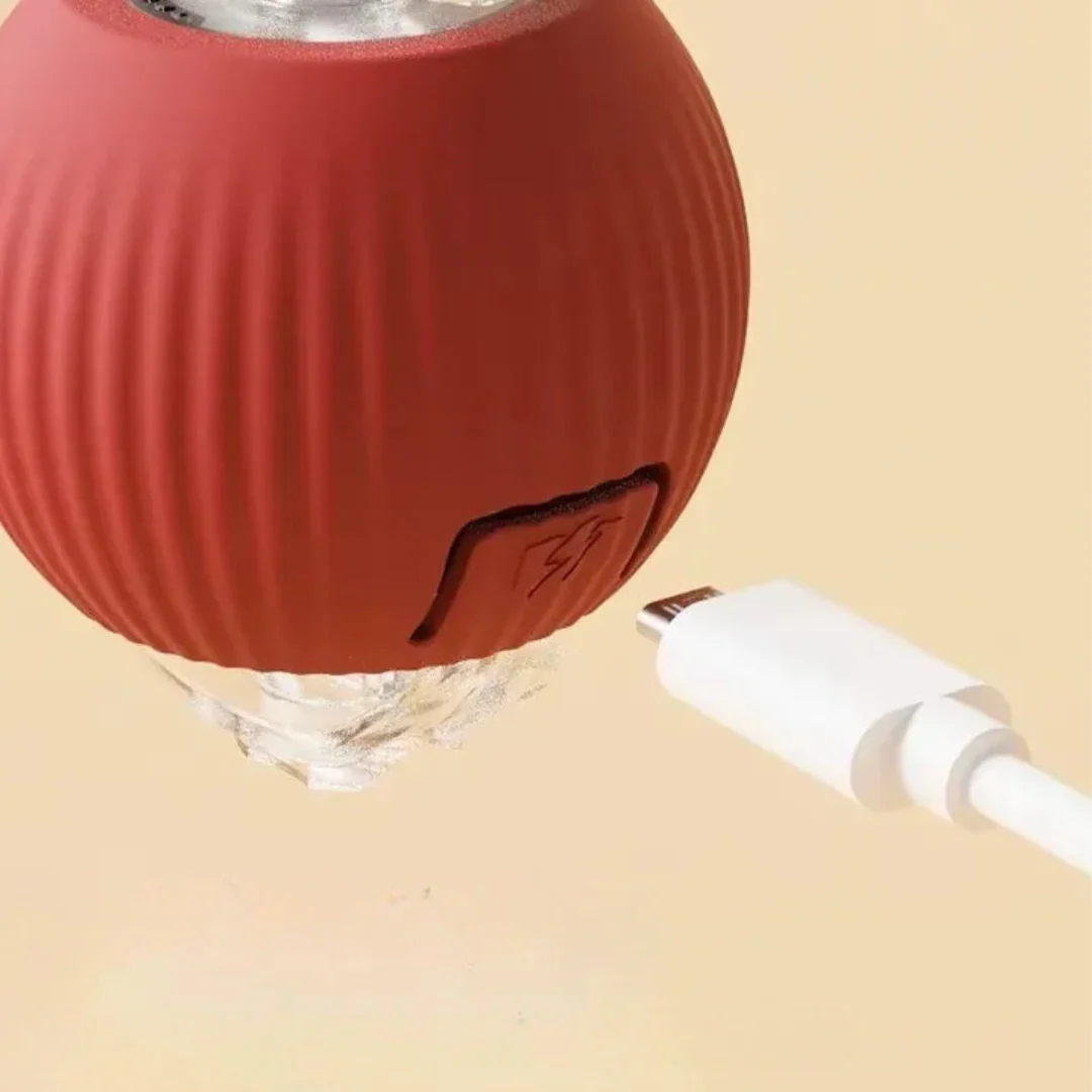 Balle interactive pour chien et chat – stimulante et ludique