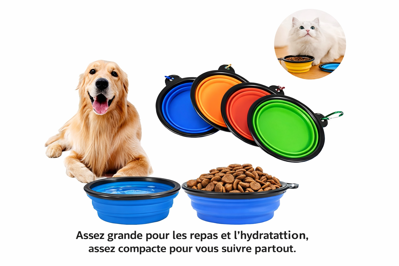 Bol Portable Pliable pour Chien et Chat – Silicone Durable pour Nourriture et Eau