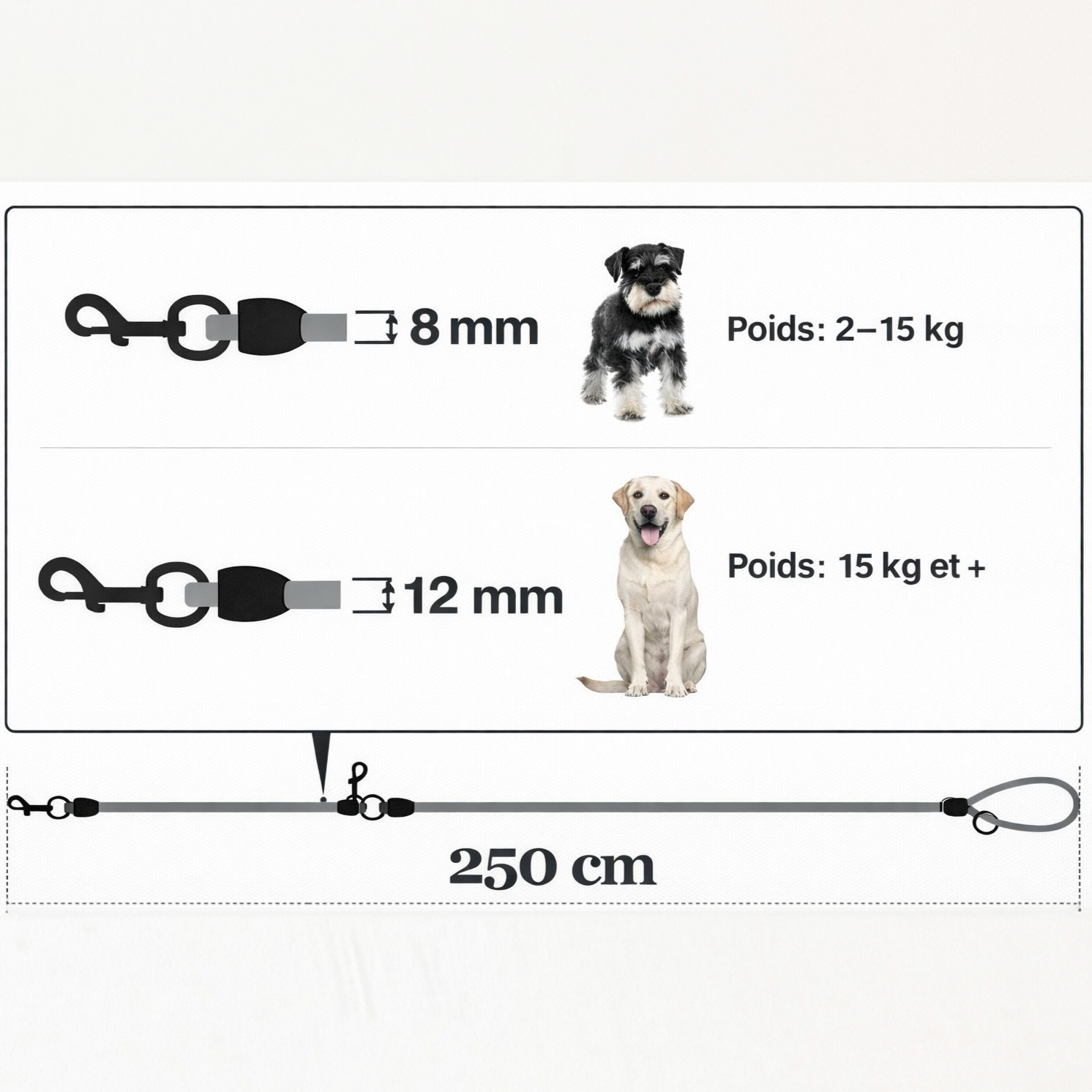 Laisse pour Chien en Nylon – Hands-Free 250 cm pour Petit et Grand Chien
