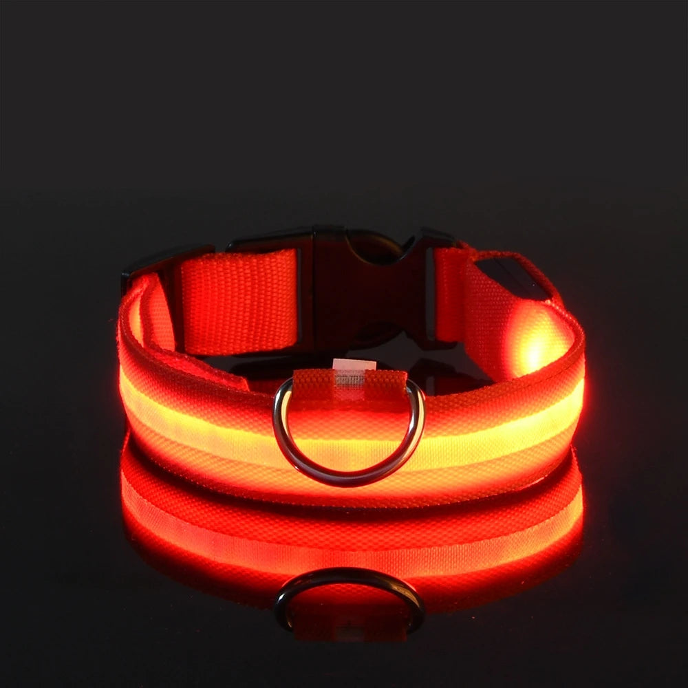 Collier LED pour Chien – Sécurité Nocturne (Tailles XS à XL)