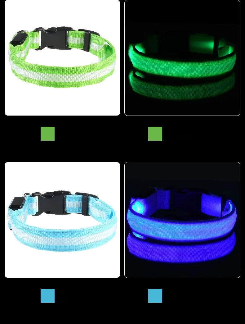Collier LED pour Chien – Sécurité Nocturne (Tailles XS à XL)