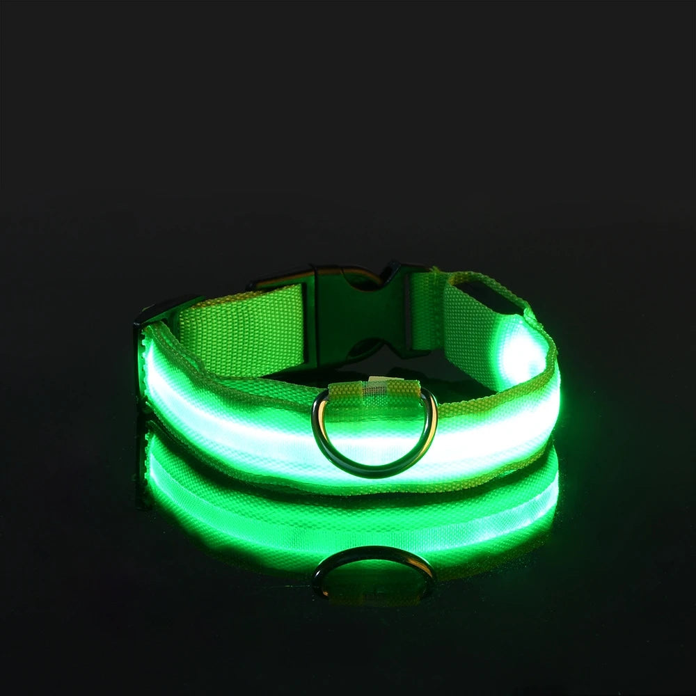 Collier LED pour Chien – Sécurité Nocturne (Tailles XS à XL)