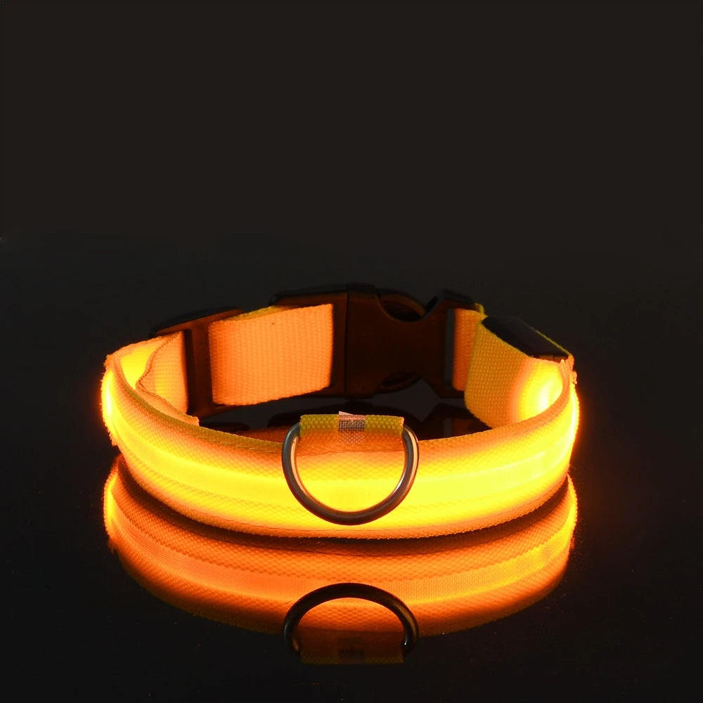Collier LED pour Chien – Sécurité Nocturne (Tailles XS à XL)
