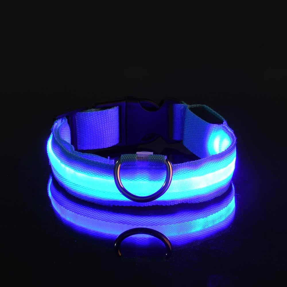 Collier LED pour Chien – Sécurité Nocturne (Tailles XS à XL)