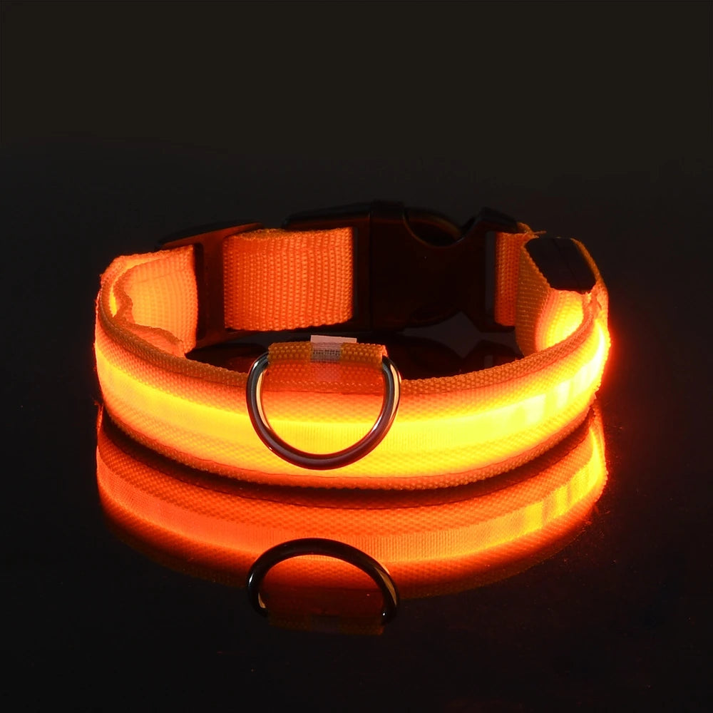 Collier LED pour Chien – Sécurité Nocturne (Tailles XS à XL)
