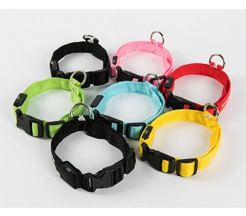 Collier LED pour Chien – Sécurité Nocturne (Tailles XS à XL)