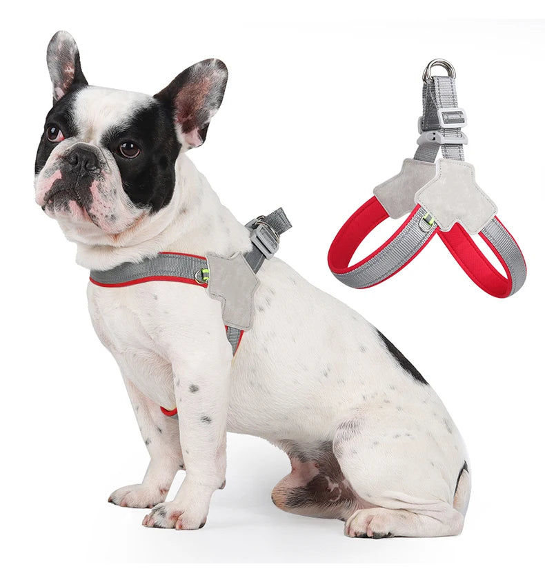 Harnais réfléchissant anti-traction pour chien  – Confort et sécurité au quotidien