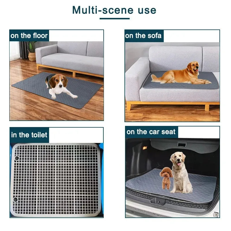 Tapis de propreté lavable pour chien – imperméable et réutilisable