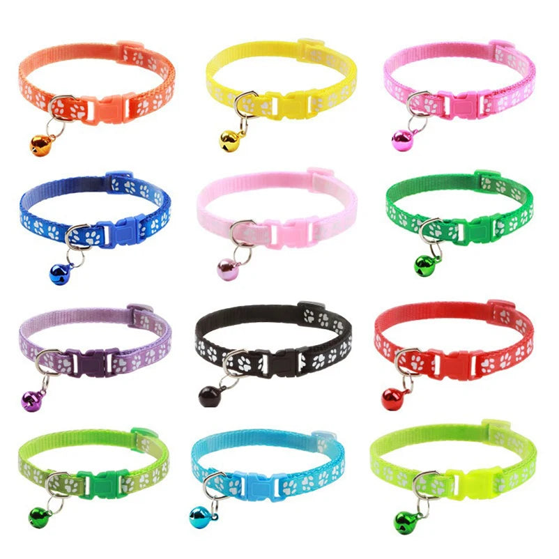 Collier pour Chat avec Clochette – Réglable, Confortable et Léger – Plusieurs Couleurs