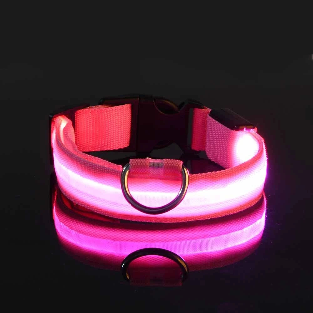 Collier LED pour Chien – Sécurité Nocturne (Tailles XS à XL)