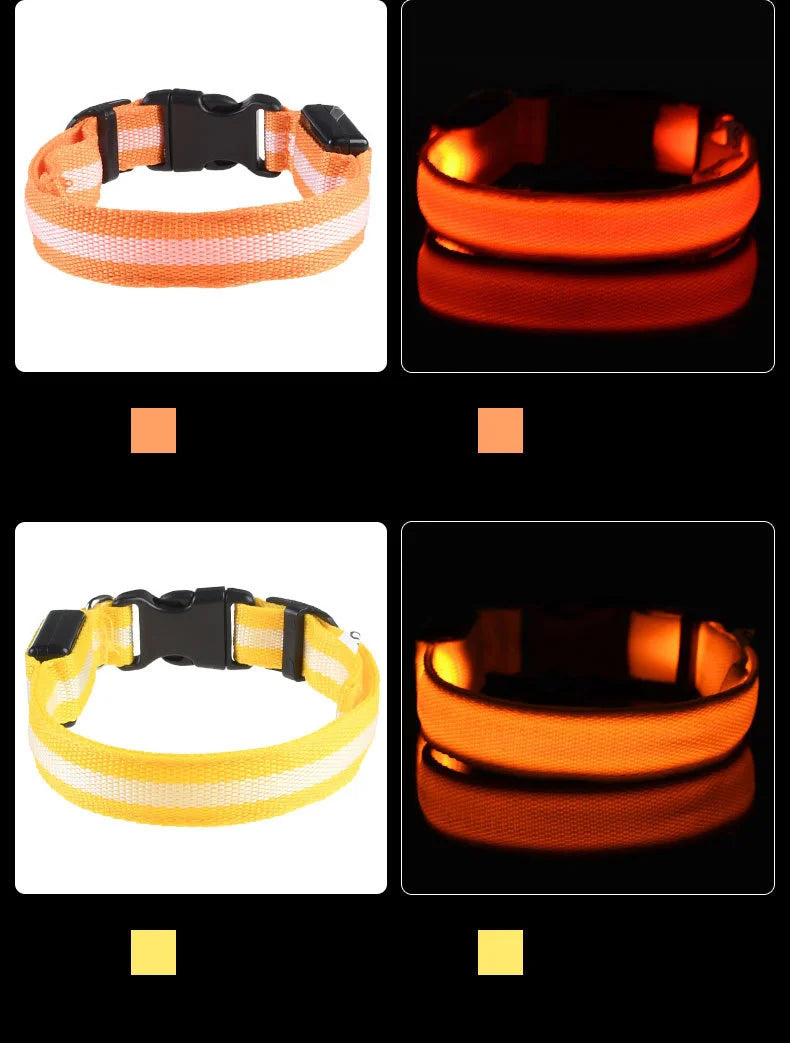 Collier LED pour Chien – Sécurité Nocturne (Tailles XS à XL)