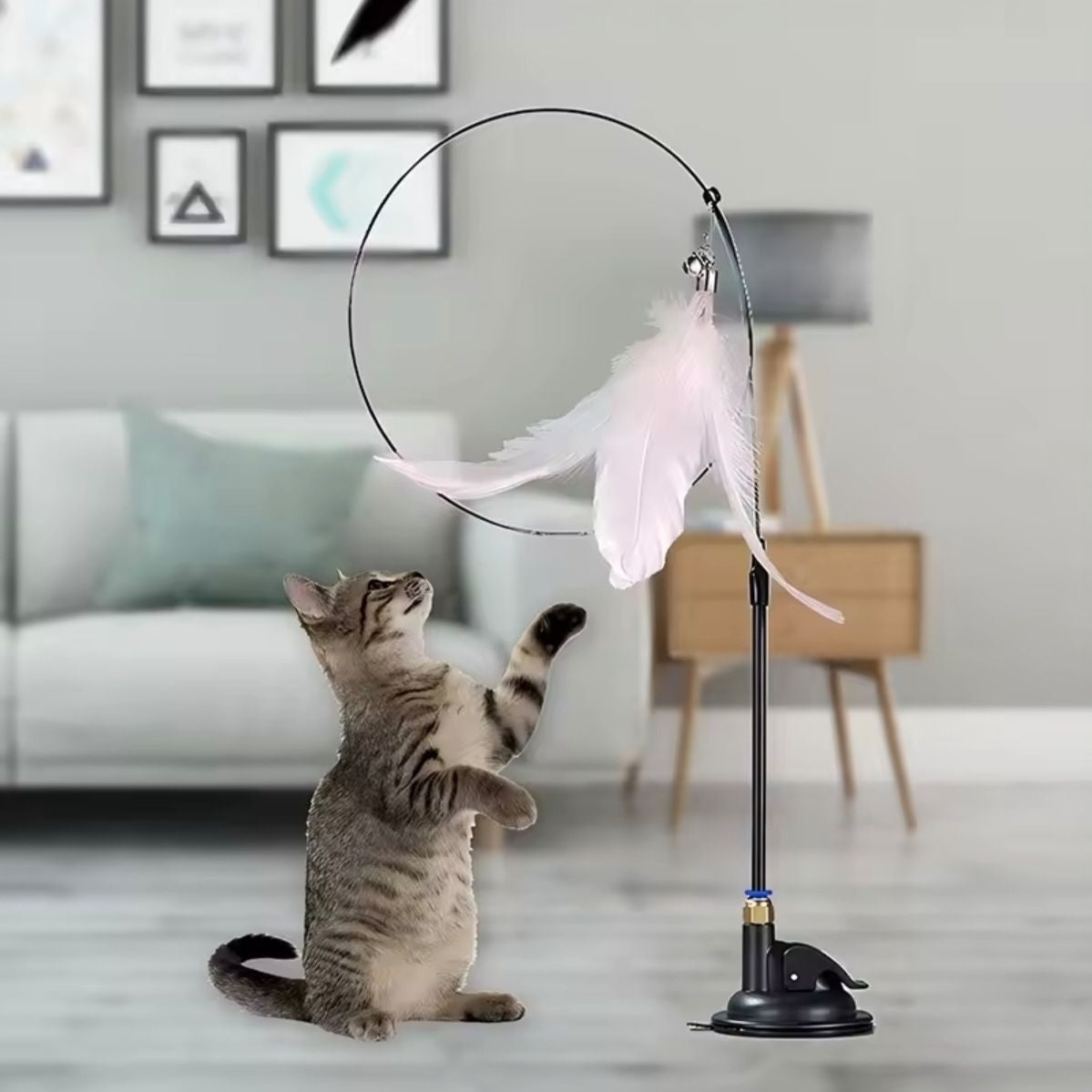 Jouet interactif pour chat – Ventouse et plumes