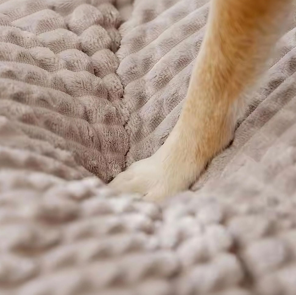 Lit Chauffant pour Chien – Ultra Doux, Antidérapant & Lavable | Petit, Moyen, Grand