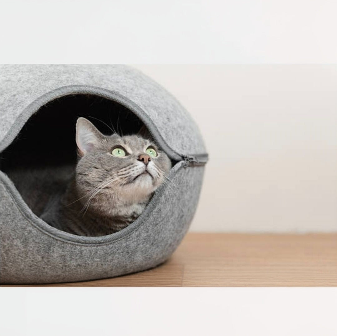 Refuge Ludique pour Chat – Tunnel Intégré, Cachette Confortable et Aire de Jeu
