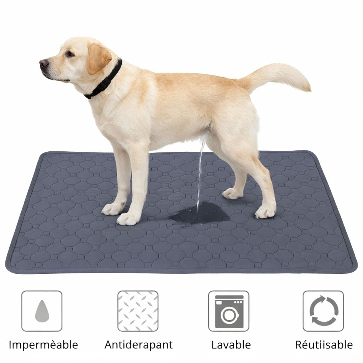 Tapis de propreté lavable pour chien – imperméable et réutilisable