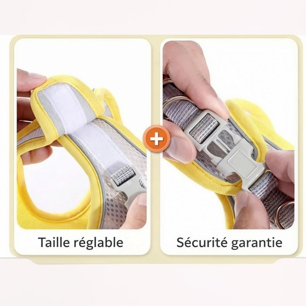 Harnais Réfléchissant pour Chat et Chien – Gilet Respirant