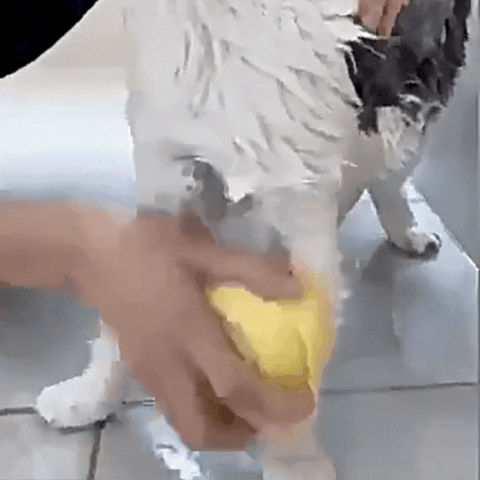 Brosse de bain en silicone pour chien et chat – douce et multifonctions