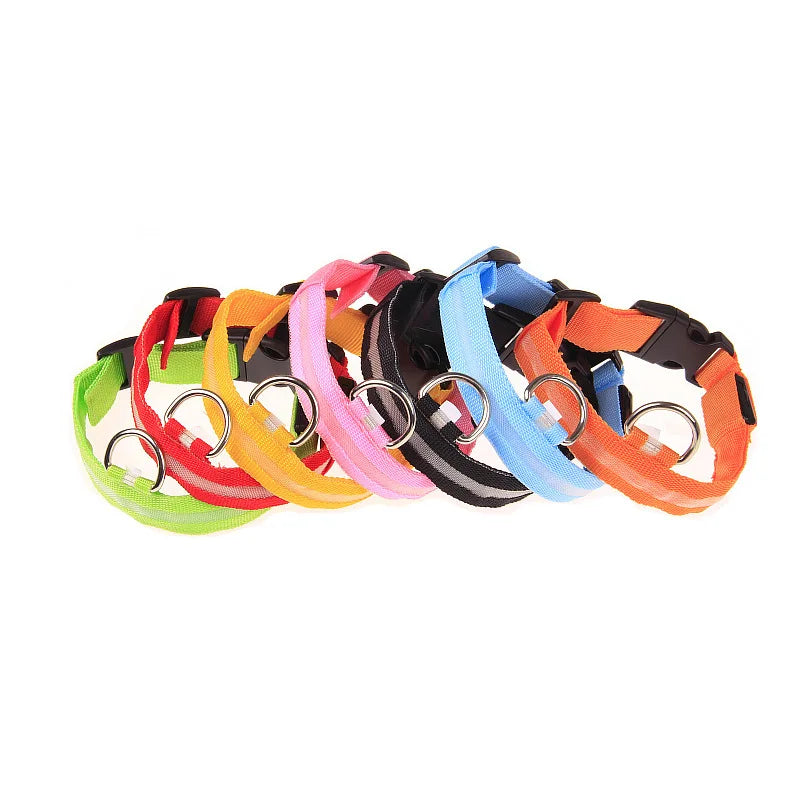 Collier LED pour Chien – Sécurité Nocturne (Tailles XS à XL)