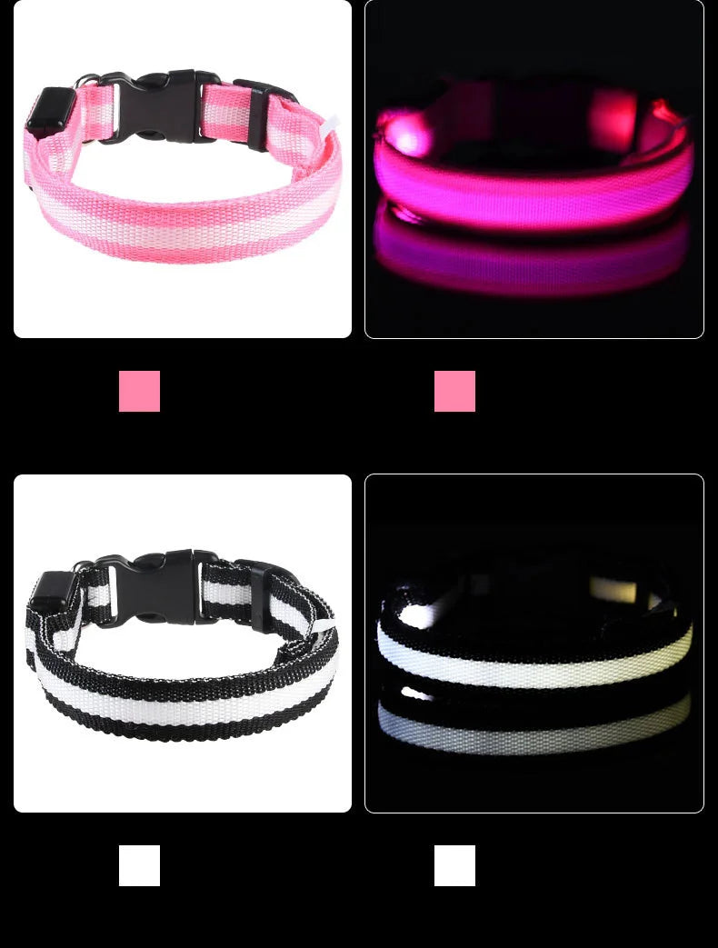 Collier LED pour Chien – Sécurité Nocturne (Tailles XS à XL)