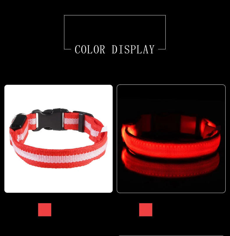 Collier LED pour Chien – Sécurité Nocturne (Tailles XS à XL)