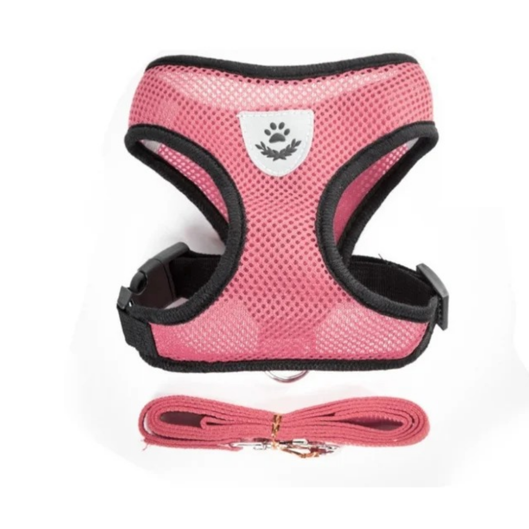 Harnais respirant réfléchissant pour chien et chat
