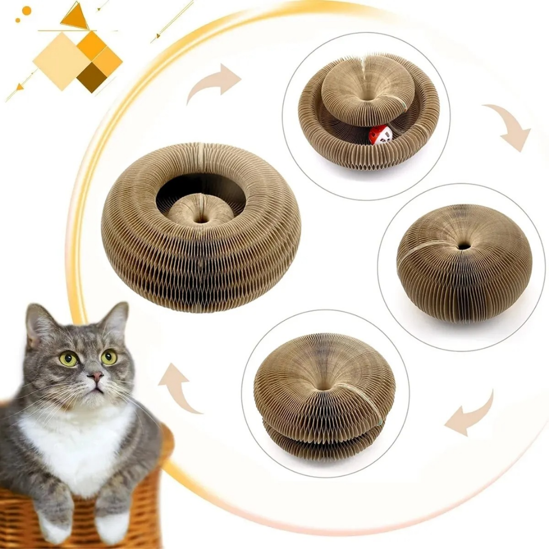 Griffoir Magique pour Chat – Jeu, Meulage des Griffes et Escalade