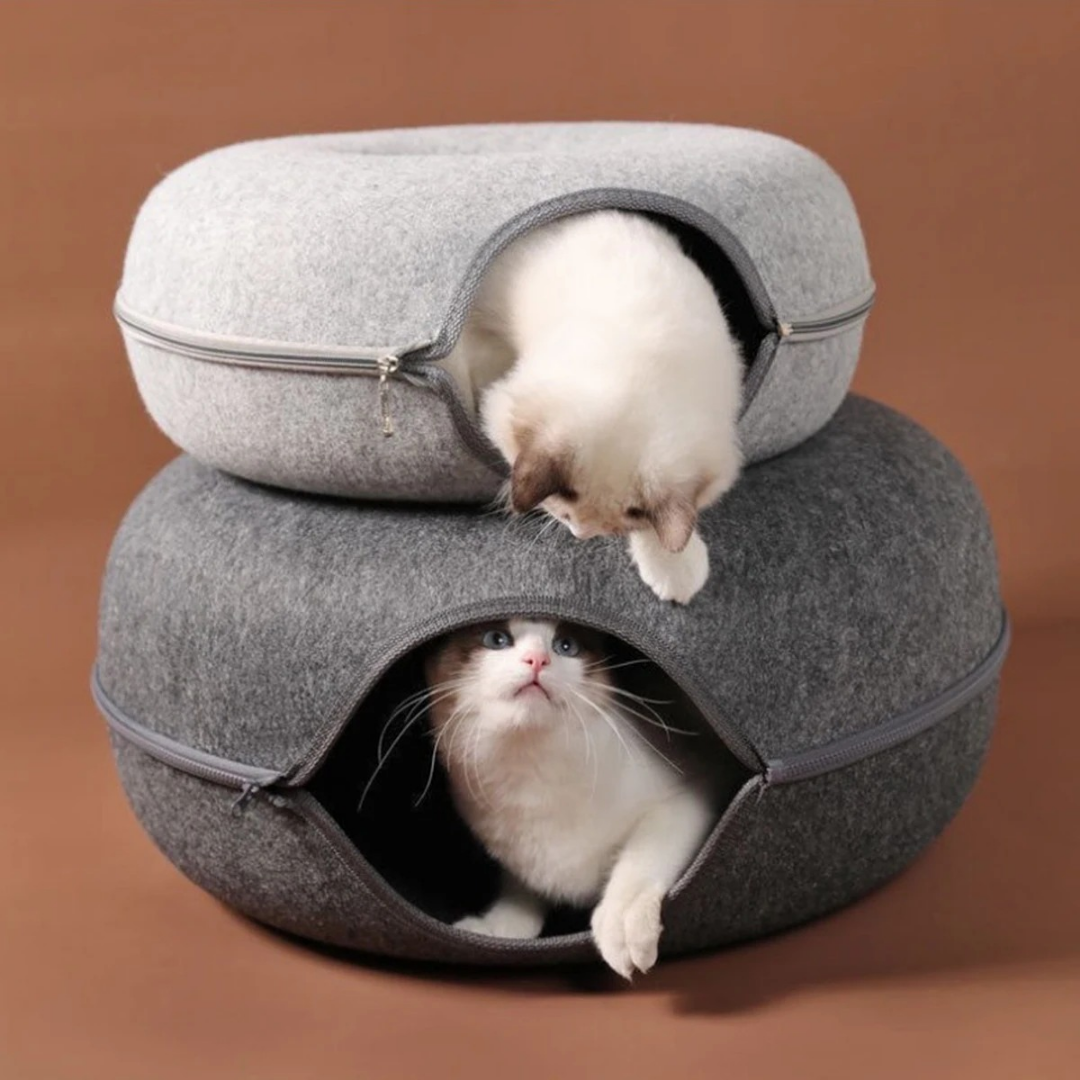 Refuge Ludique pour Chat – Tunnel Intégré, Cachette Confortable et Aire de Jeu